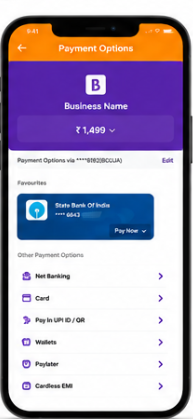 Payment Options phone