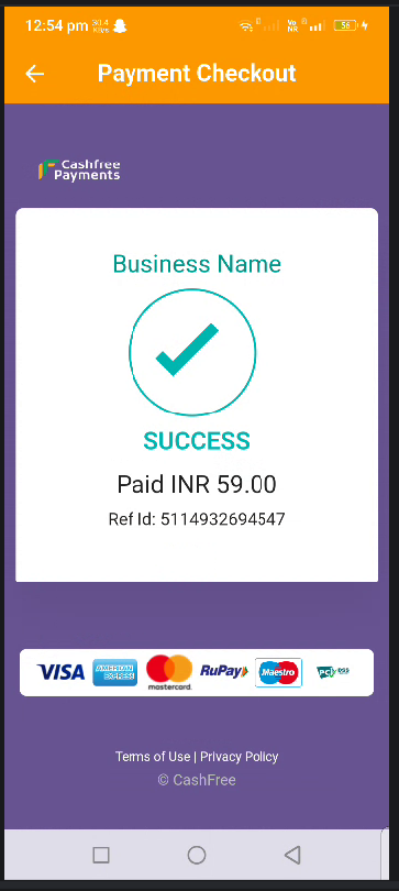 Payment Success phone screenshot